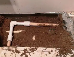 清丰测漏水哪家好