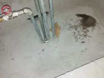 清丰卫生间测漏水价格明细