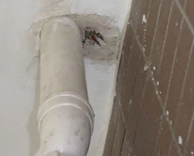 清丰漏水检测哪家好